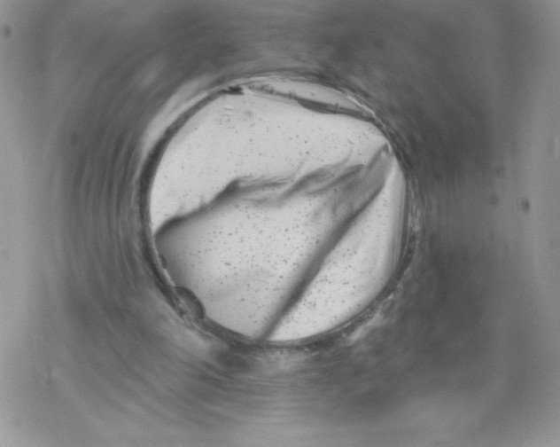 X0000077350198200611171906