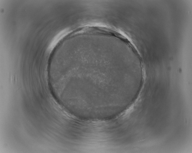 X0000077350199200611171906