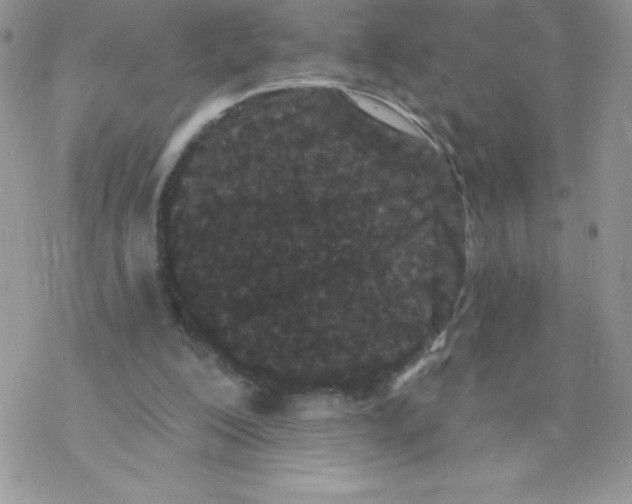 X0000077350200200611171906