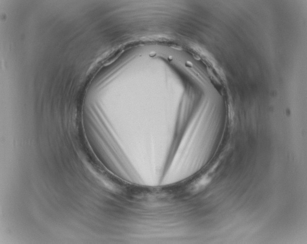 X0000077350201200611171906