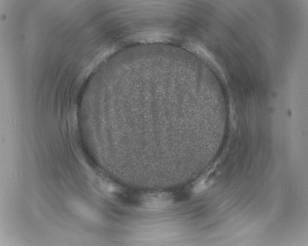 X0000077350202200611171906