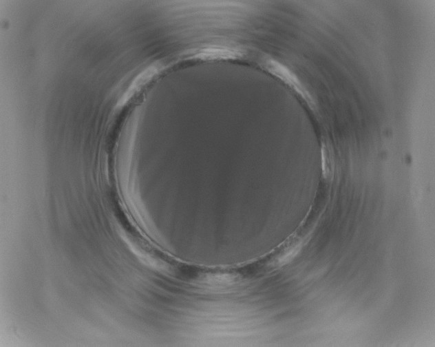 X0000077350205200611171906