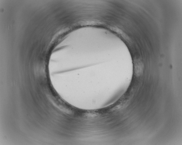 X0000077350207200611171906