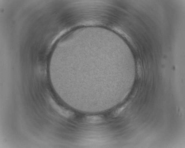 X0000077350208200611171906