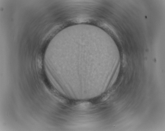 X0000077350210200611171906