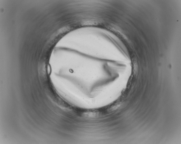 X0000077350211200611171906