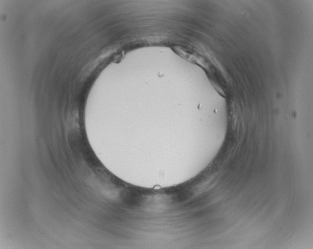 X0000077350212200611171906