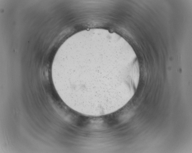 X0000077350214200611171906