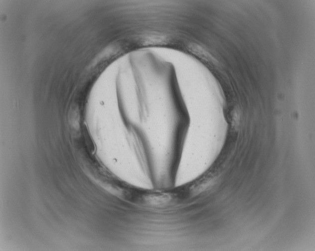 X0000077350215200611171906