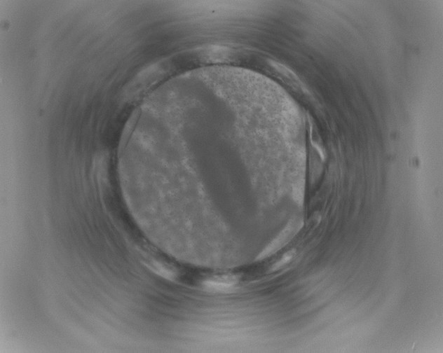 X0000077350217200611171906