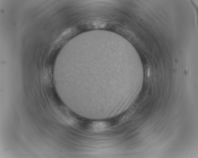 X0000077350218200611171906