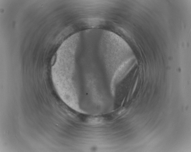 X0000077350221200611171906