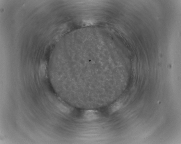 X0000077350222200611171906