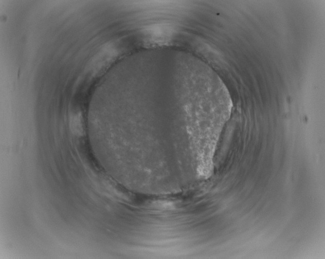 X0000077350224200611171906