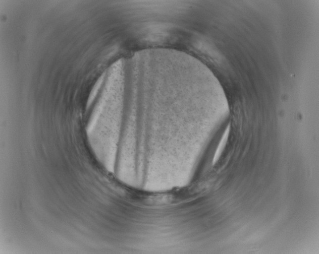 X0000077350225200611171906