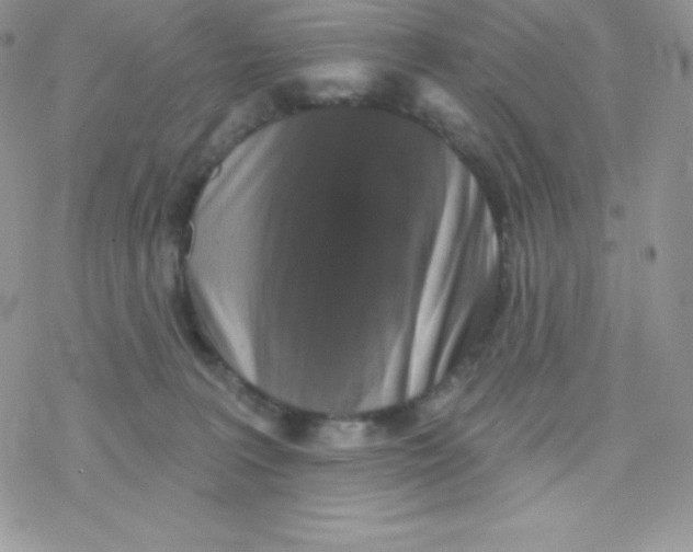 X0000077350227200611171906