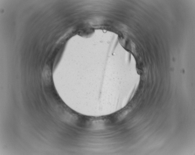 X0000077350228200611171906