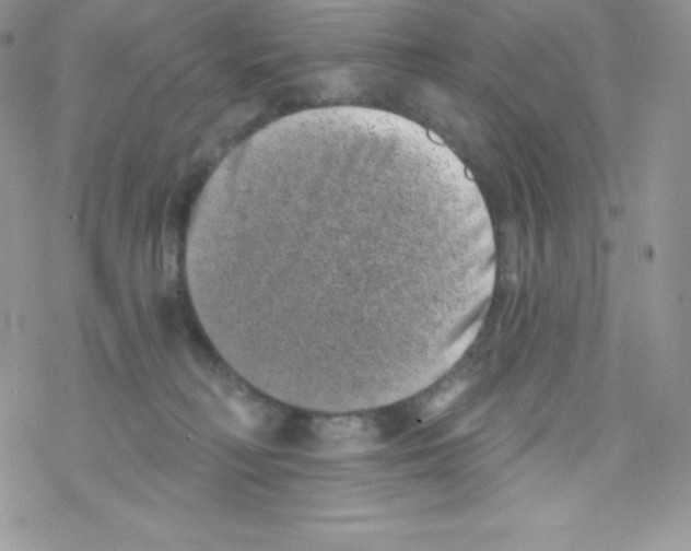 X0000077350230200611171906