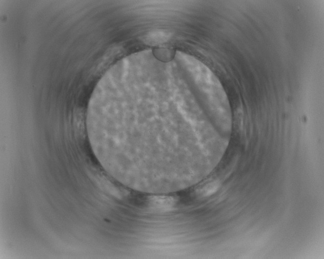 X0000077350234200611171906