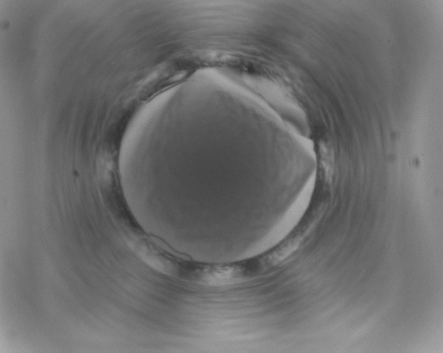 X0000077350235200611171906