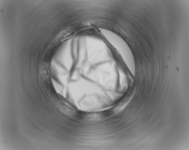 X0000077350237200611171906