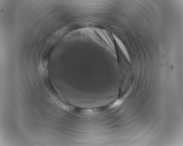 X0000077350239200611171906