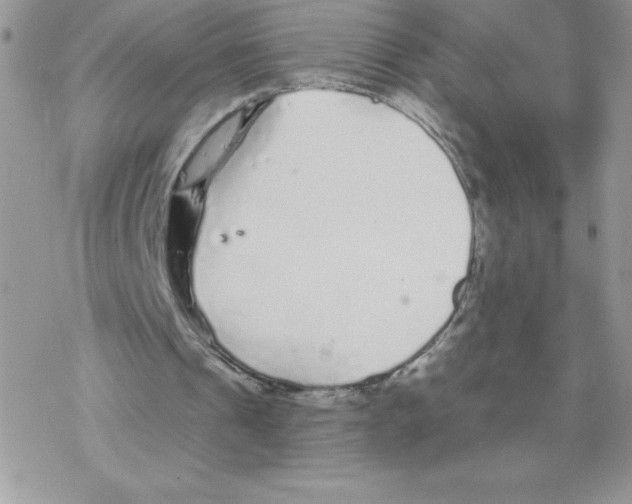 X0000077350241200611171905