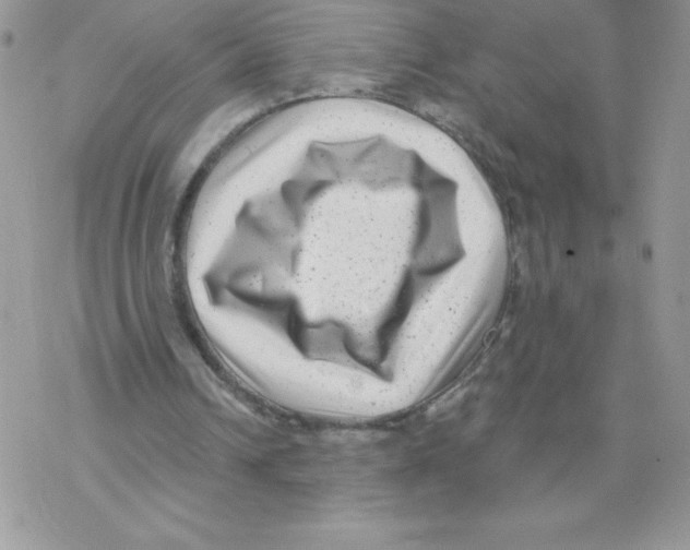 X0000077350242200611171905