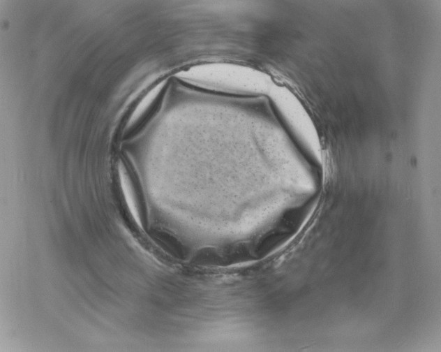 X0000077350243200611171905