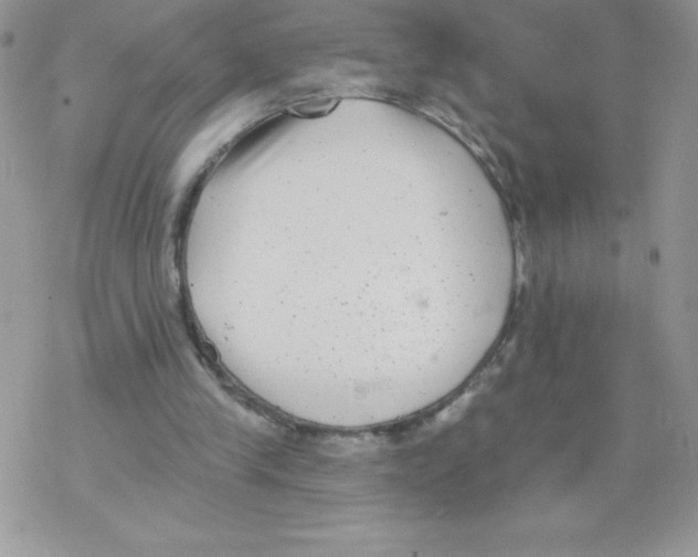 X0000077350245200611171905