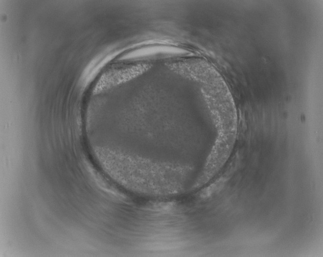 X0000077350247200611171905