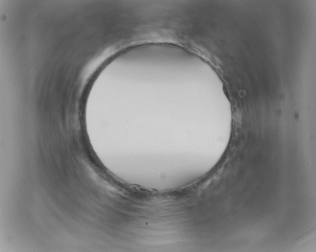 X0000077350248200611171905