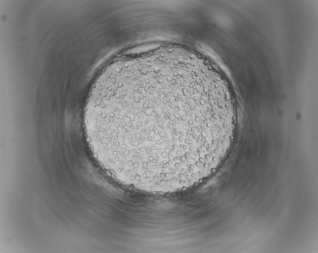 X0000077350249200611171905