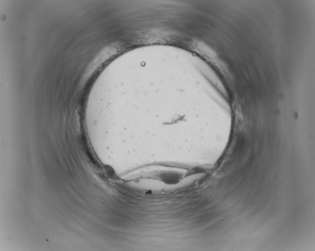 X0000077350250200611171905