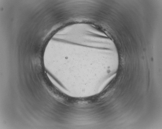 X0000077350256200611171905