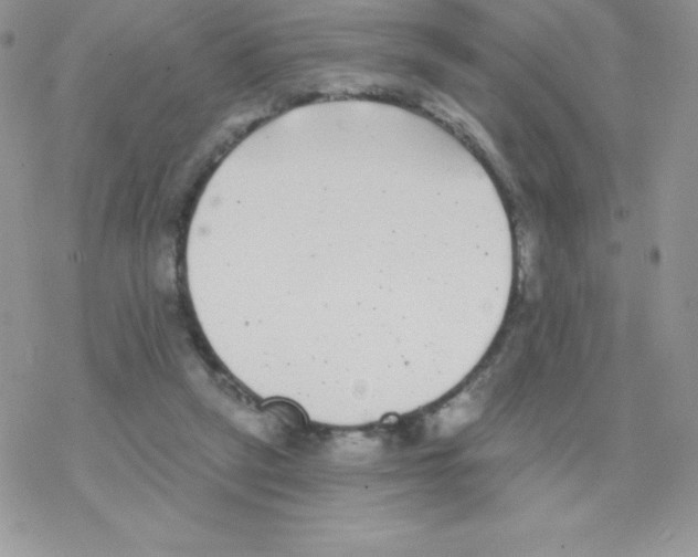 X0000077350257200611171905