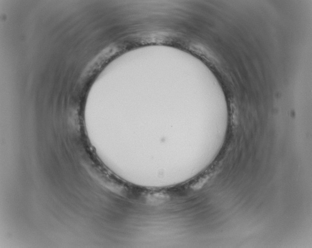 X0000077350258200611171905