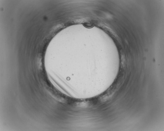 X0000077350259200611171905