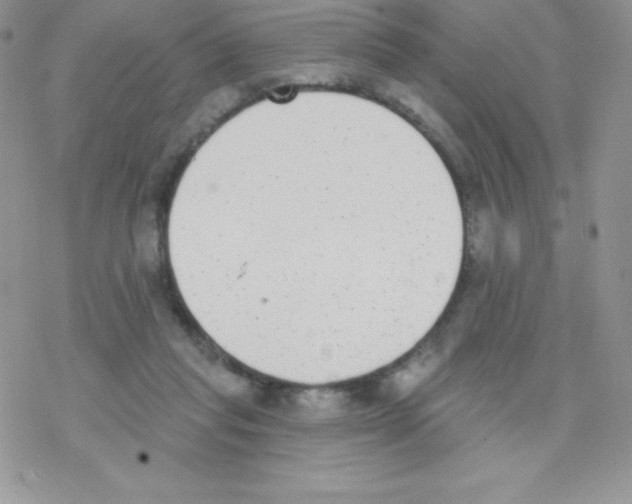 X0000077350261200611171905