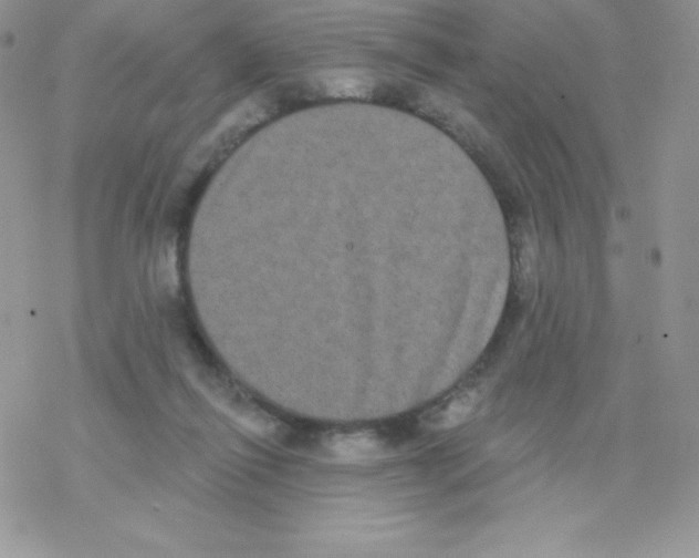 X0000077350262200611171905