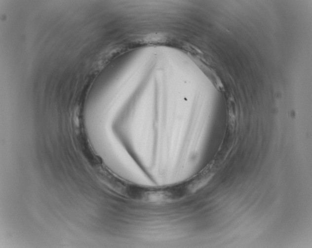 X0000077350264200611171905