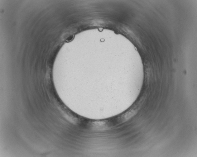 X0000077350265200611171905