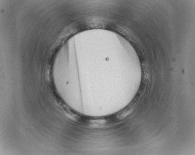 X0000077350266200611171905