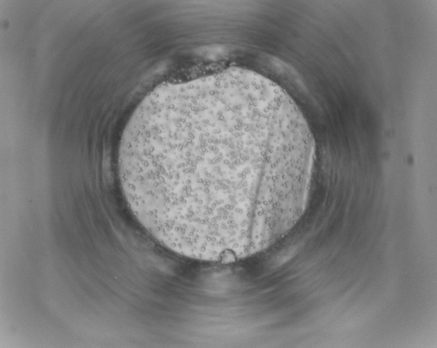 X0000077350267200611171905