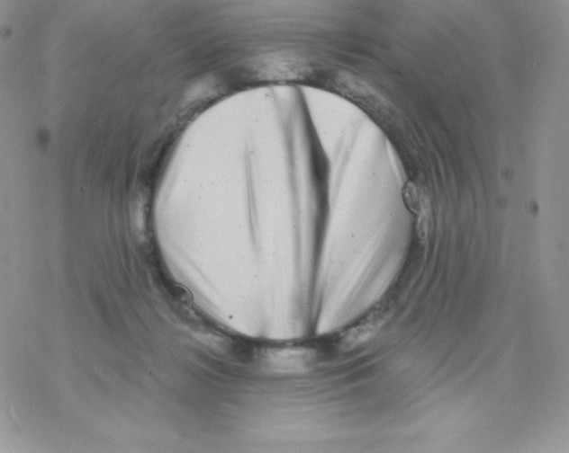 X0000077350268200611171905