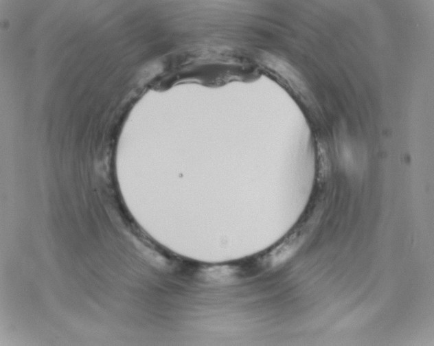 X0000077350269200611171905