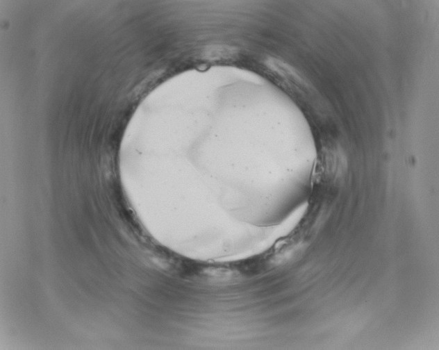 X0000077350272200611171905