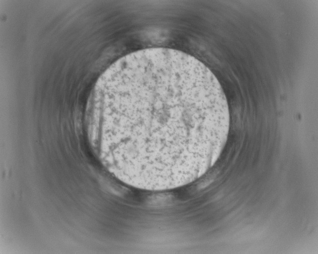 X0000077350274200611171905