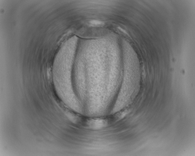 X0000077350276200611171906