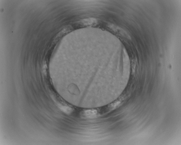 X0000077350279200611171906